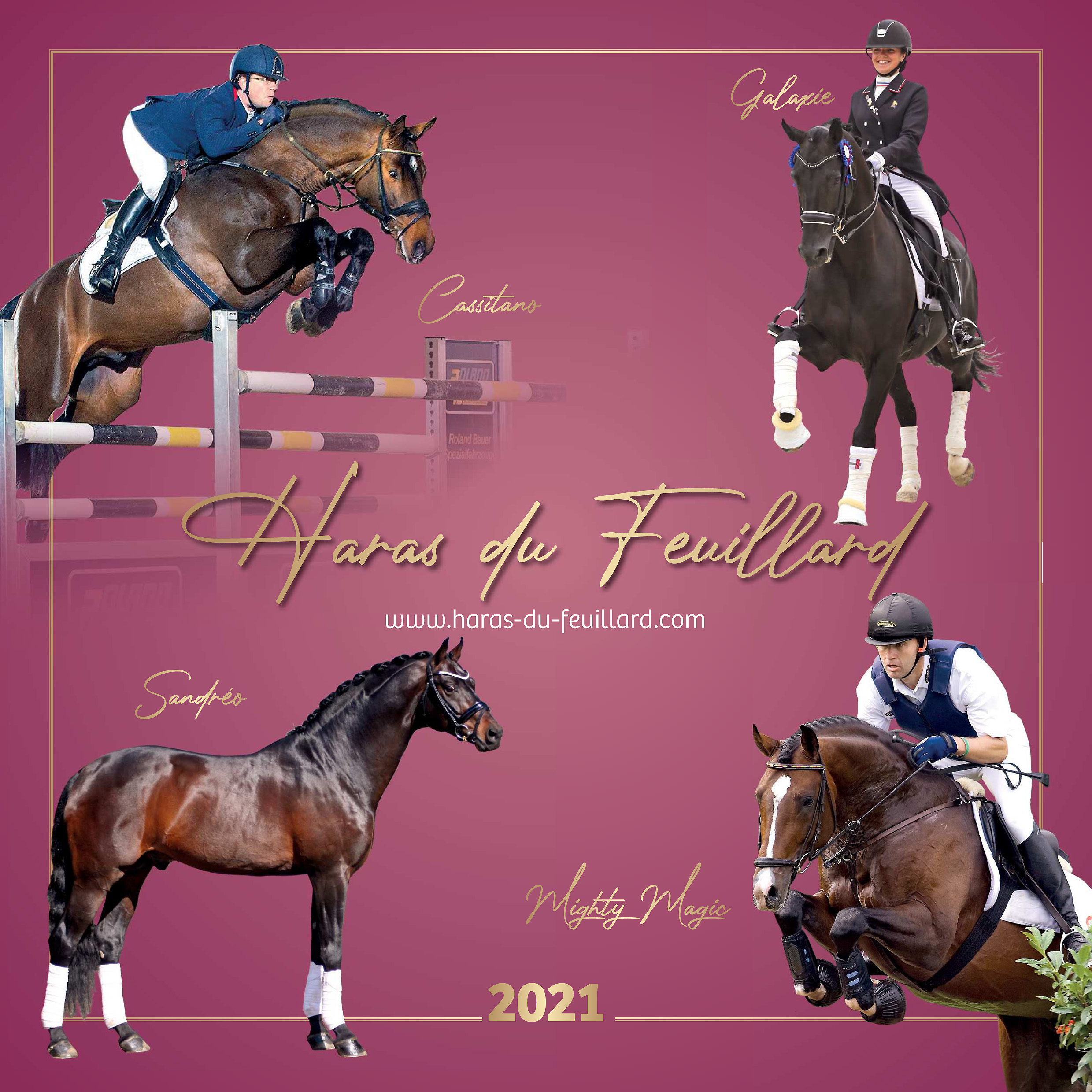 Catalogue 2021 des Etalons - Page 1