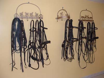filets CHEVAUX A VENDRE HARAS SAILLIES ETALONS COMMERCIALISATION DRESSAGE CONCOURS COMPLET CCE CONCOURS SAUT OBSTACLES CSO VENTE PONEYS SF KWPN INSEMINATION TRANSFERT EMBRYONS ECURIE PROPRIETAIRES
