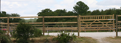 carriere sable + géotextile 60 x 20 m CHEVAUX A VENDRE HARAS SAILLIES ETALONS COMMERCIALISATION DRESSAGE CONCOURS COMPLET CCE CONCOURS SAUT OBSTACLES CSO VENTE PONEYS SF KWPN INSEMINATION TRANSFERT EMBRYONS ECURIE PROPRIETAIRES