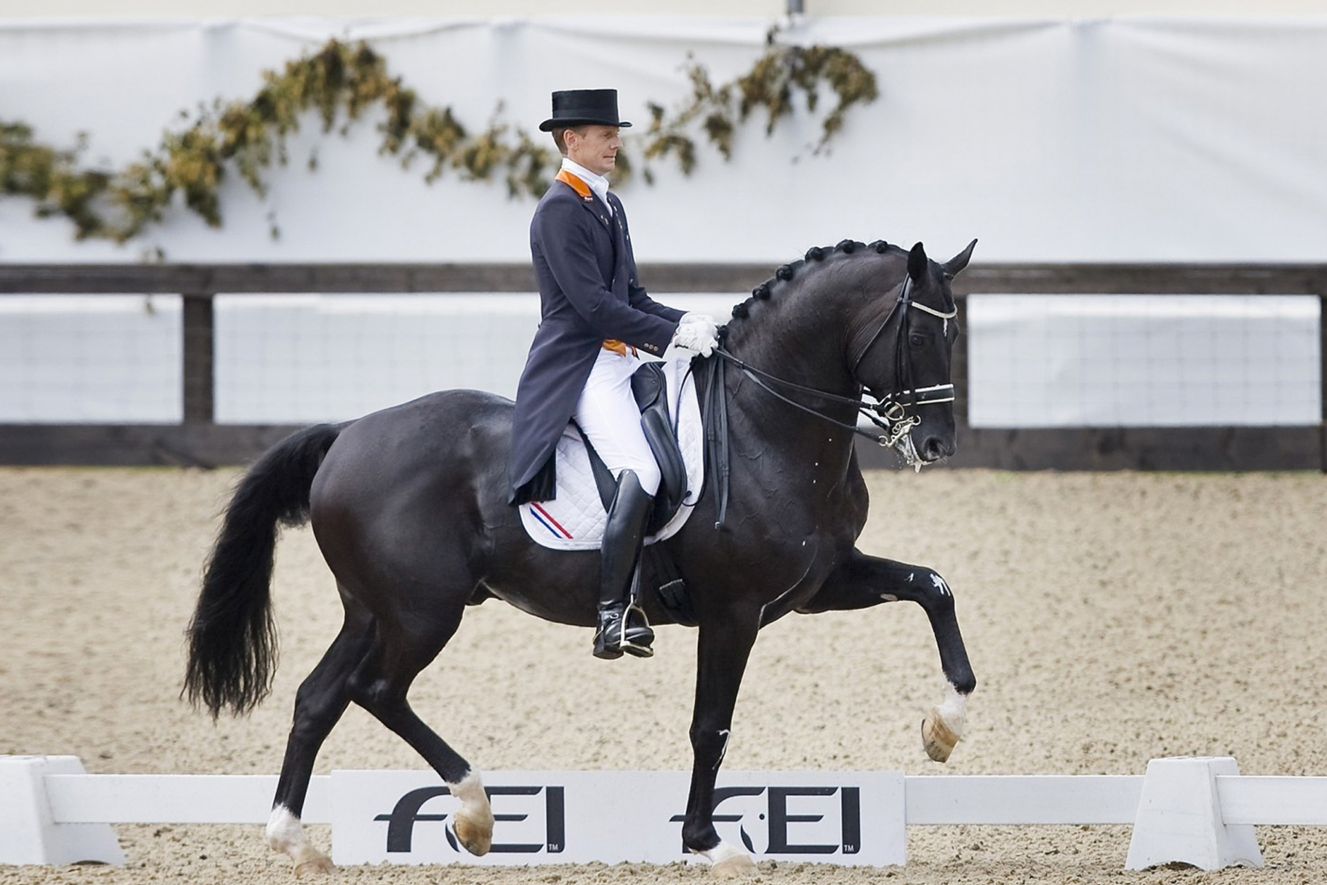 Totilas & Edward Gall