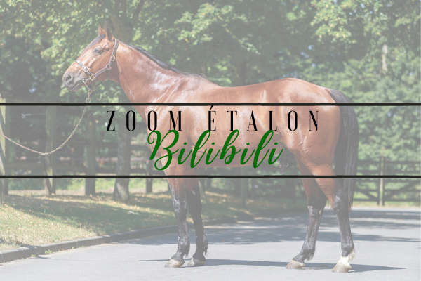 Bilibili, &eacute;talon Trotteur Fran&ccedil;ais