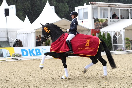 Stallion Secret