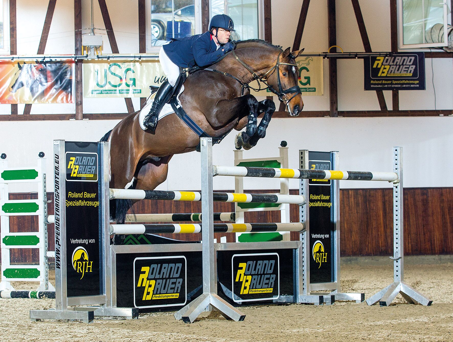 Cassitano, étalon Holsteiner