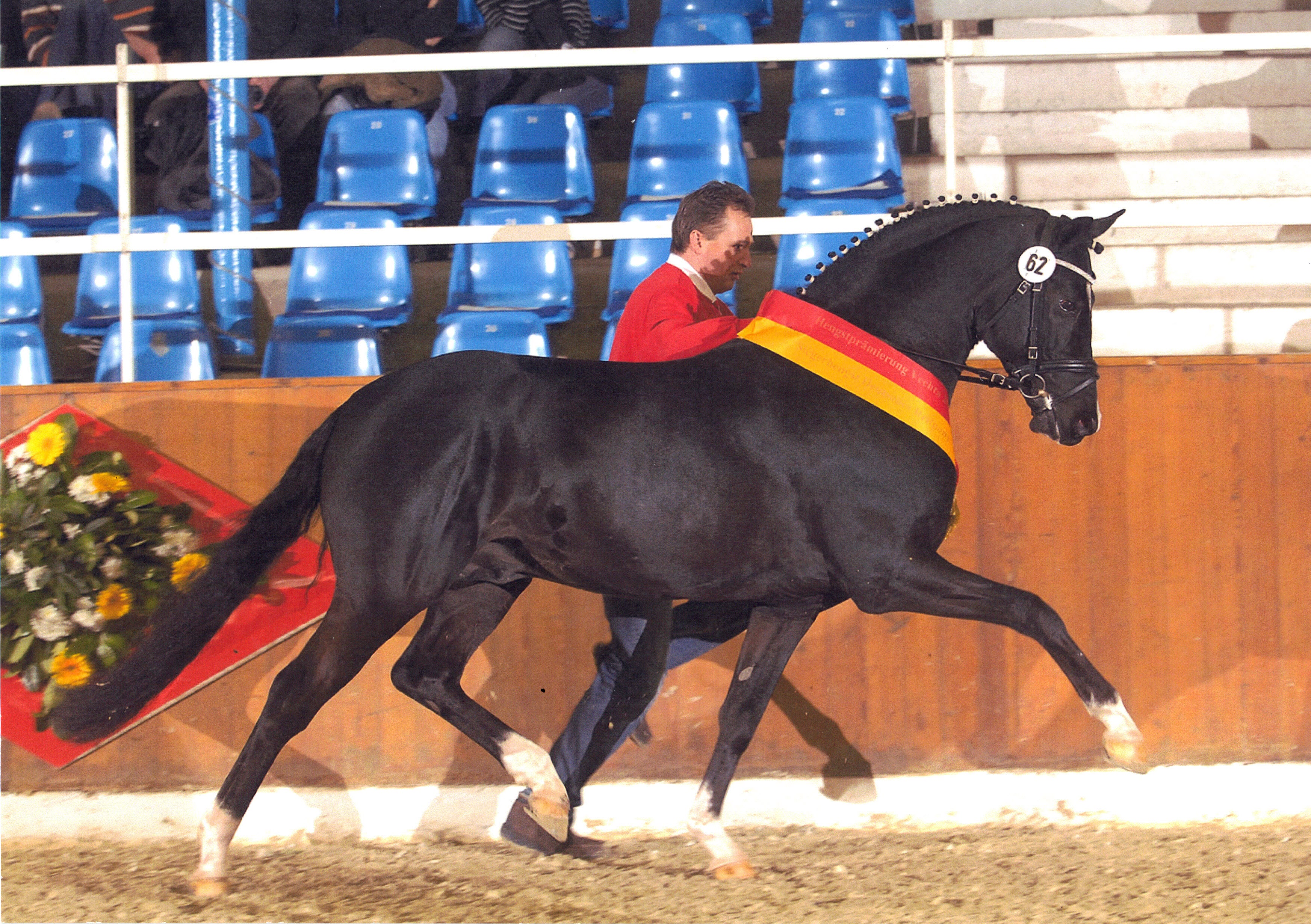 Hilkens Black Delight