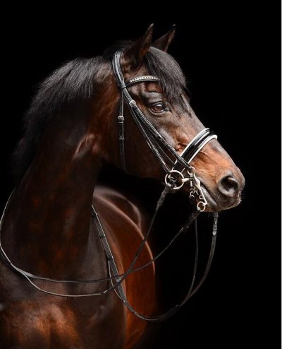 Futur, Etalon Westf