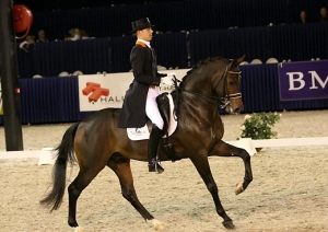 Ucelli T monté Hans Peter Minderhoud