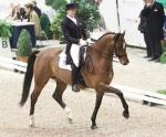 Triviant par Olivi