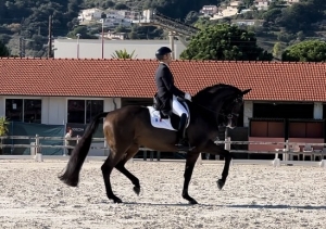 Ruling Olivia par Olivi sous la selle de Alexandre Ayache en Grand-Prix Prép. Nice Novembre 2023