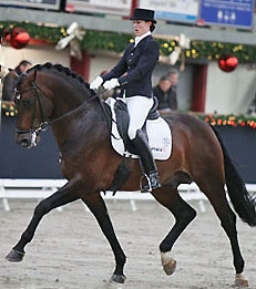 Adamo par sandréo x pion, kwpn