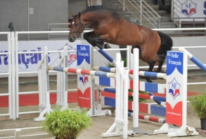 Usandro d helby par sandreo