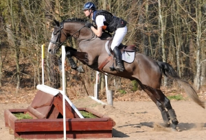 toulourec par sandreo x toulon - haras du feuillard