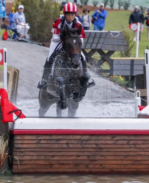 Tacoma d'horset par sandréo, Jeux Equestres Mondiaux de Tryon 2018