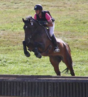 Tacoma d horset par sandreo