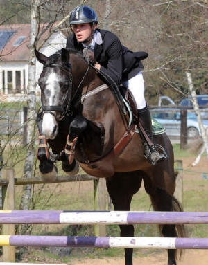 toulourec par sandreo x toulon - haras du feuillard