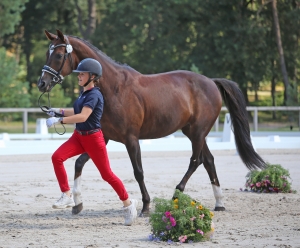 Little Rock & Eugénie Burban - Championnat d'Europe FEI Young Riders - Fontaibleau 2018