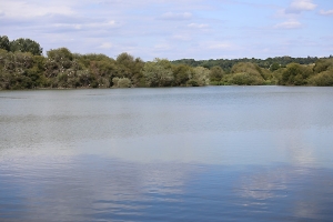 Etang Haras du Feuillard