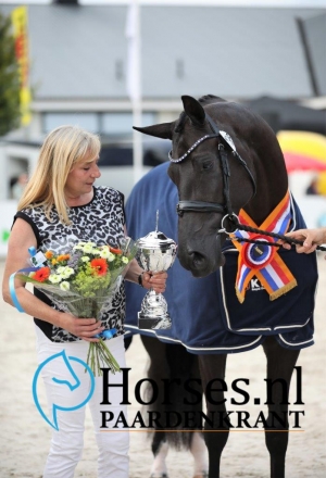Lolana par Galaxie x Dolana, Championne National 2019 des juments KWPN de 3 ans