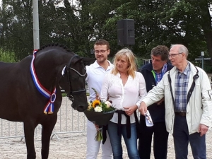 Lolana par Galaxie x Dolana, Championne National 2019 des juments KWPN de 3 ans