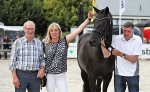 Lolana par Galaxie, Championne du National KWPN des juments de 3 ans