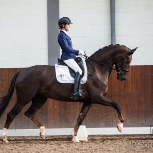 Katniss (Galaxie x Apache)