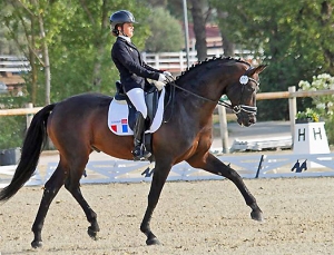 Sandréo sous la selle de Eugénie Burban - Championnat d'Europe 2015 - Médaille de Bronze