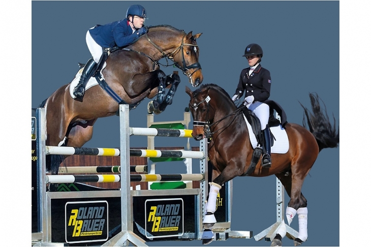 Cassitano, Etalon Holsteiner, 1m72 par Casado x Briscar x Carthago