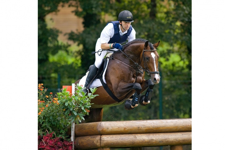 Mighty Magic, Holsteiner stallion approved SF, 1m69, Homozygous, World Champion for 7 year olds in Eventing and 9th Best Stallion in the World in Eventing with Andreas Dibowski, Team Bronze Medal at the European Youth Dressage Championships with Eugénie Burban.