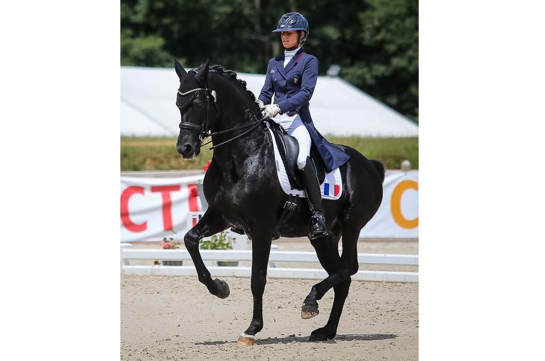 DES CHEVAUX OLYMPIQUES AU HARAS DU FEUILLARD !
