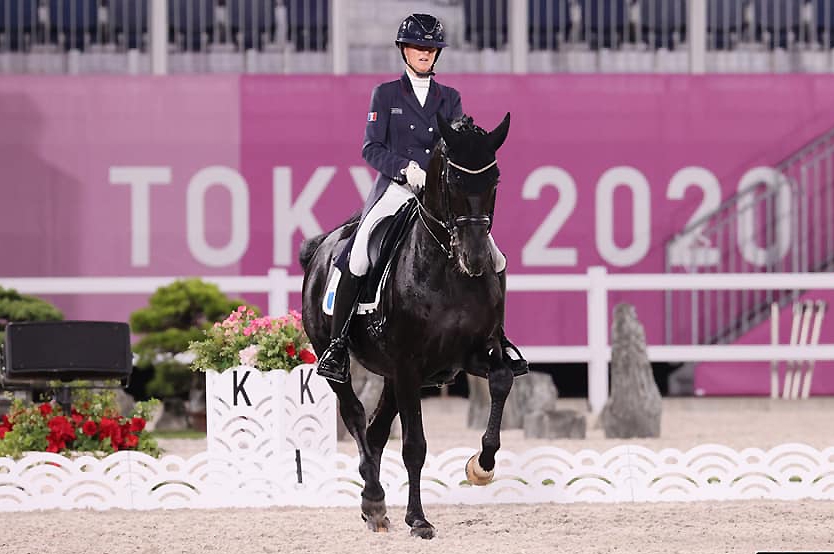 2 CHEVAUX ACQUIS AU HARAS DU FEUILLARD DANS LE TOP 6 DES CHEVAUX LES MIEUX INDICES !