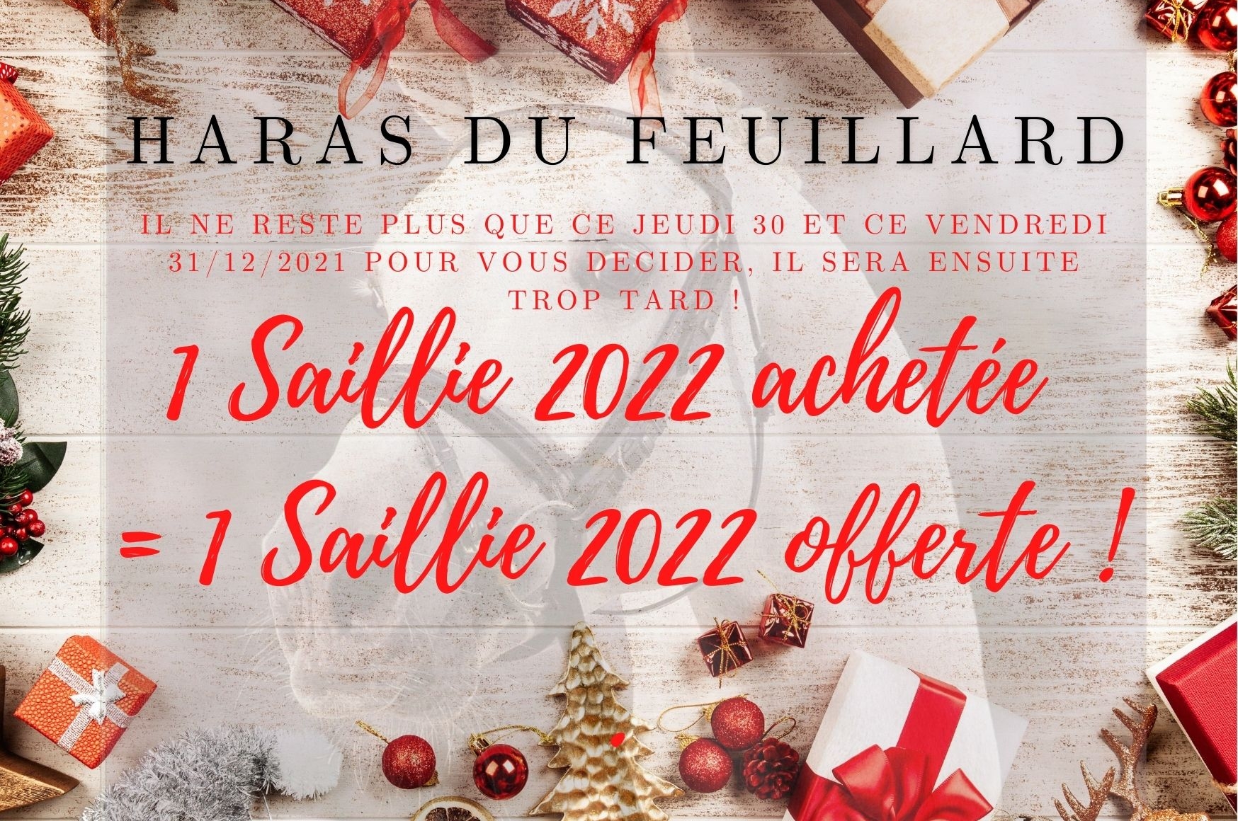2 SAILLIES 2022 POUR LE PRIX D'UNE SEULE SAILLIE !