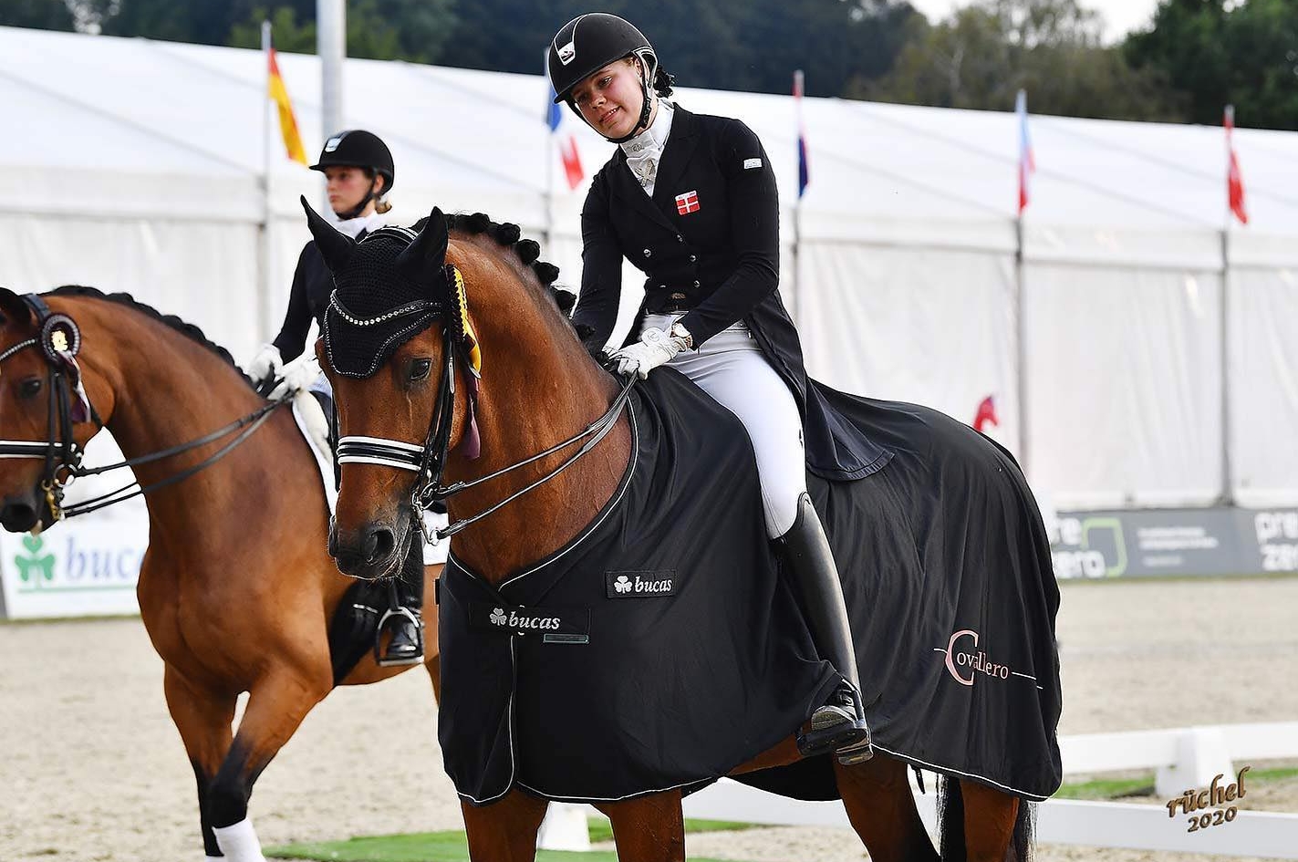 ANTANGO DU FEUILLARD, VAINQUEUR SUR LE CDI 3* DE HAGEN !