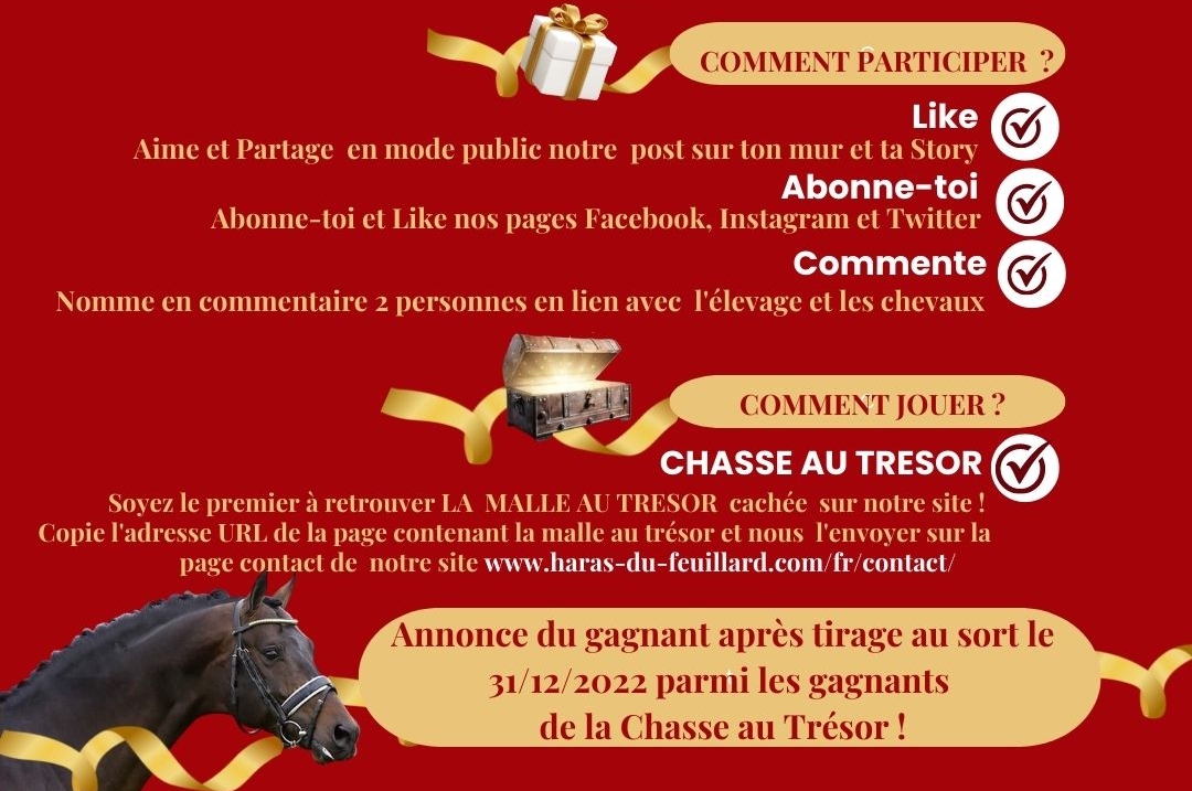 JEU CONCOURS GRATUIT DE NOËL !