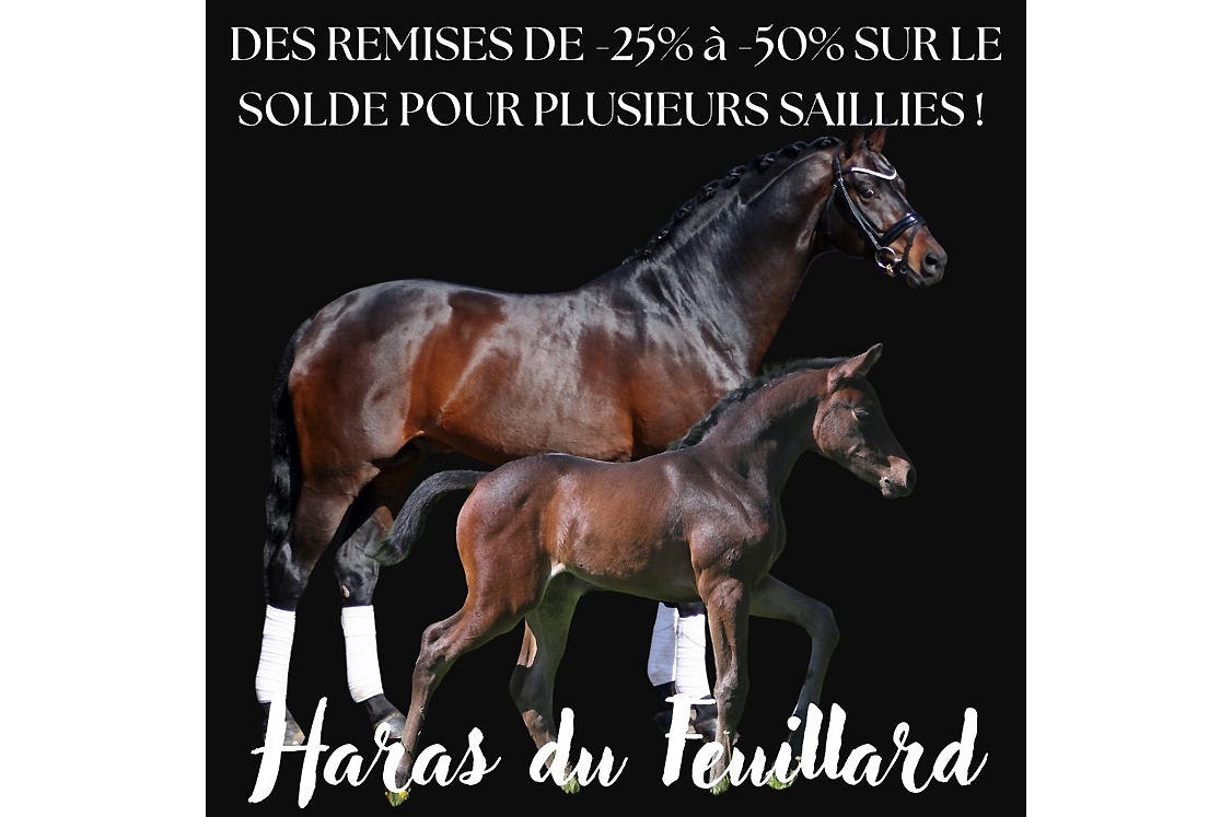 DES REMISES DE -25% à -50% POUR PLUSIEURS SAILLIES !