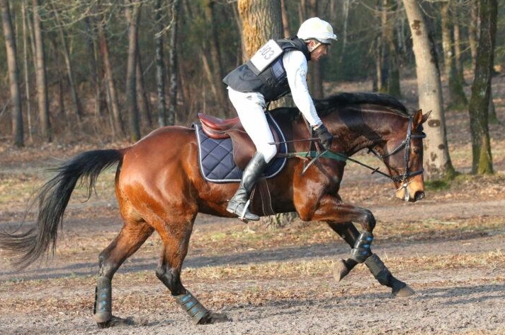 CHAMPIONNAT DE FRANCE MAJOR DE COMPLET
