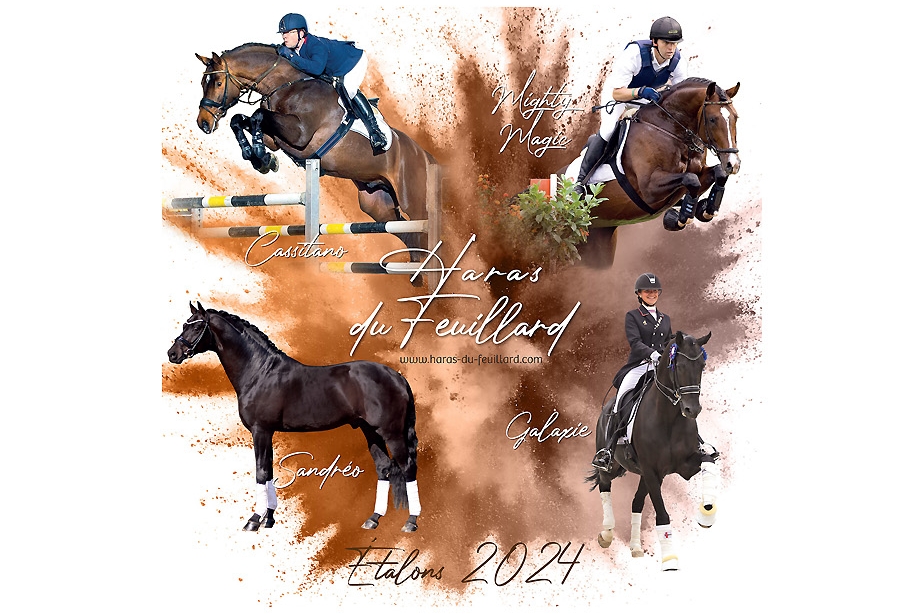 ETALONS 2024 COLLECTION HARAS DU FEUILLARD