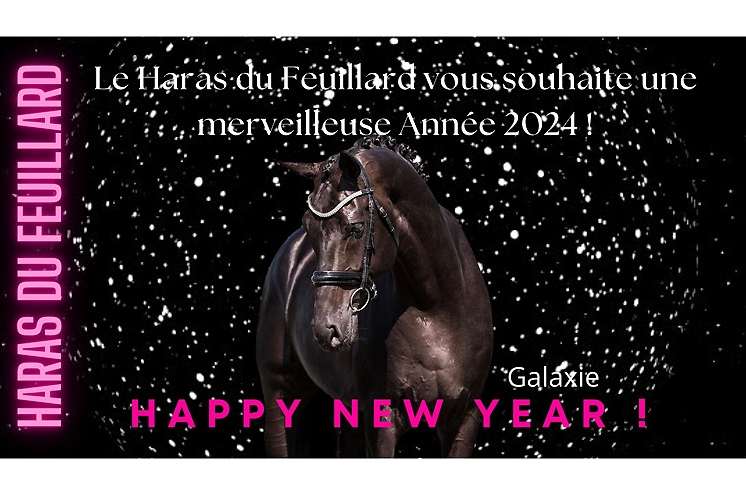 BONNE ANNEE 2024 !