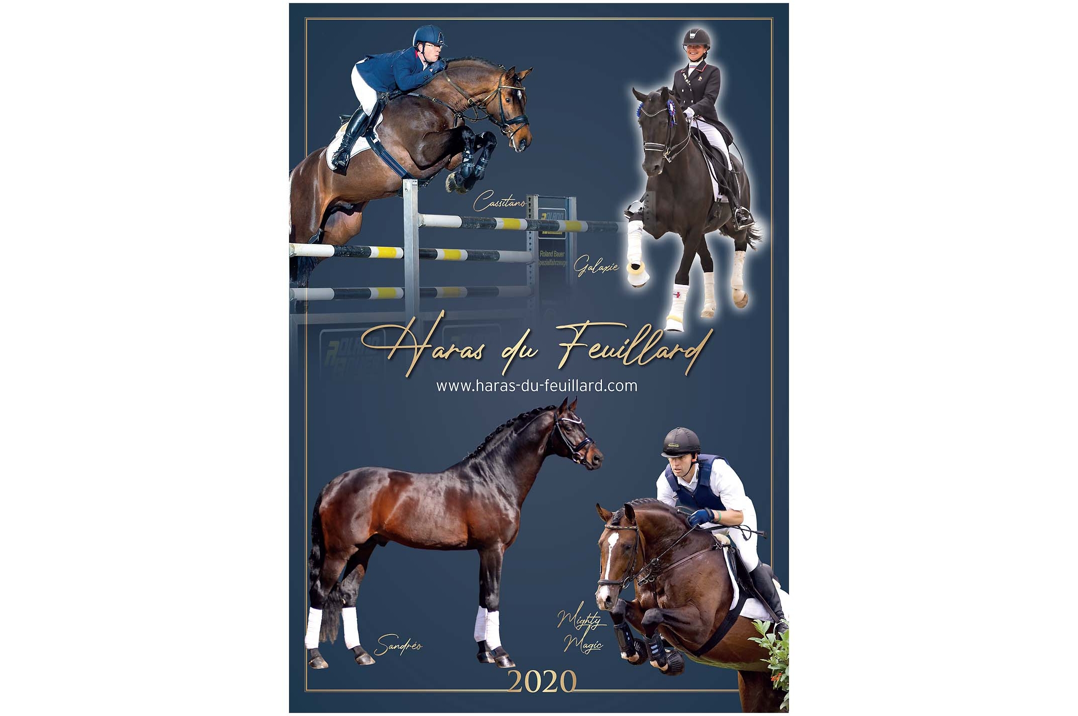 COLLECTION 2020 DES ETALONS DU HARAS DU FEUILLARD
