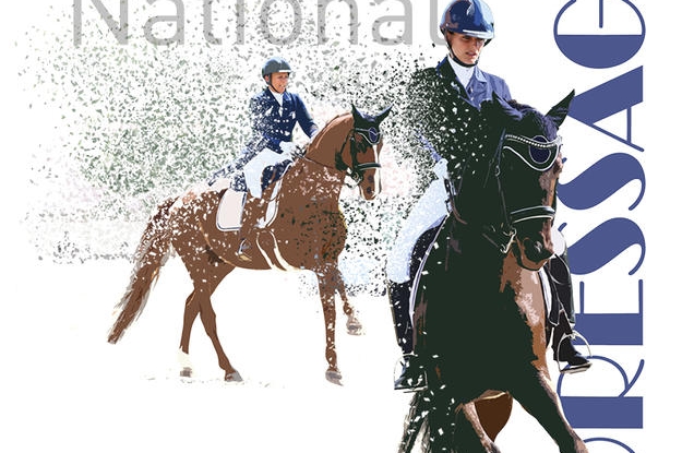 Grand national 2019 de dressage (07/03/2019)