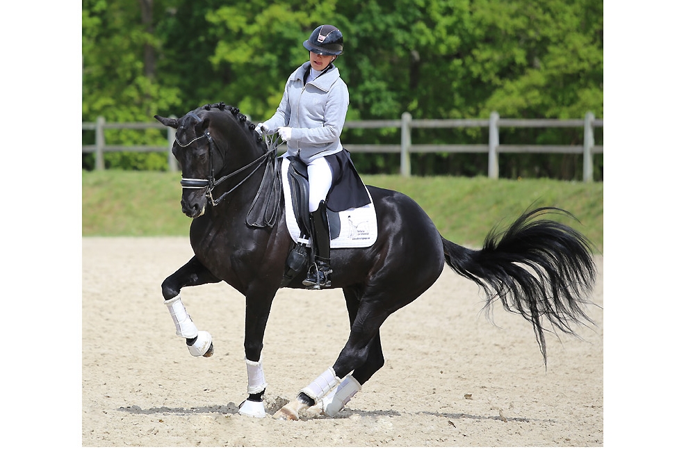 RETOUR A LA COMPETITION POUR GALAXIE