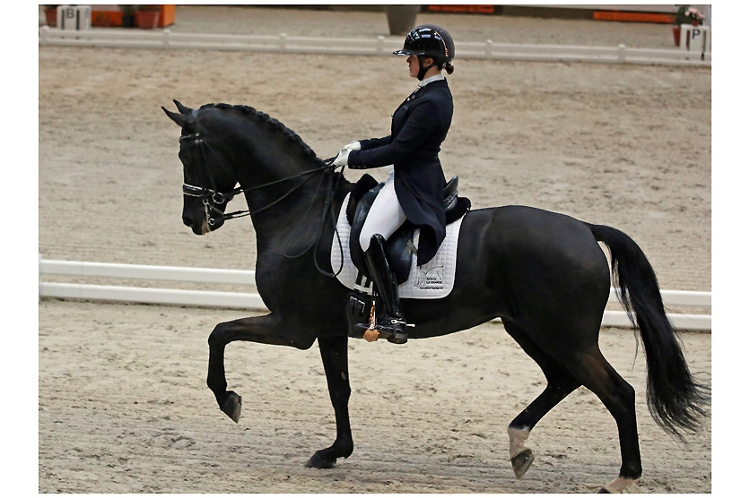 3 VICTOIRES POUR EUGENIE BURBAN AVEC GALAXIE ET LITTLE ROCK