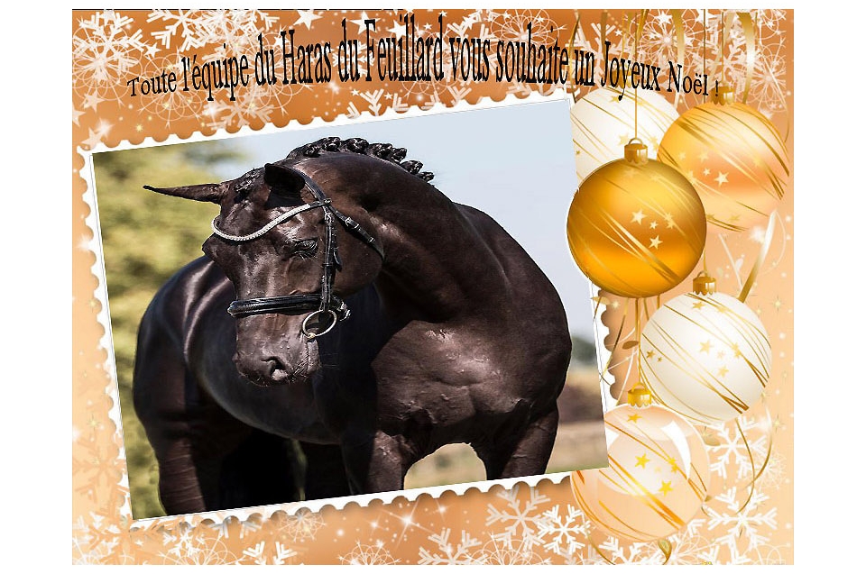 JOYEUX NOËL A TOUS !