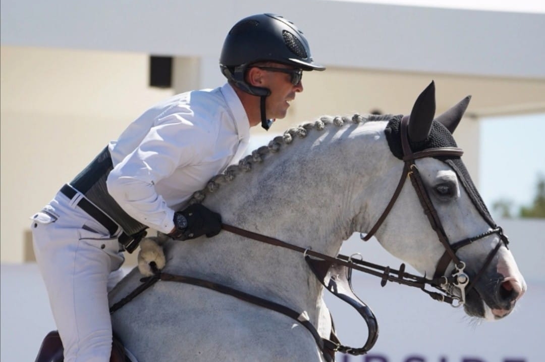 VOUS POUVEZ TROUVER VOTRE PERLE RARE AU HARAS DU FEUILLARD !