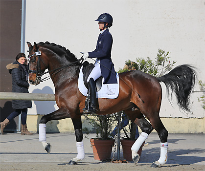 Mighty Magic Champion du Monde des 7 ans en complet